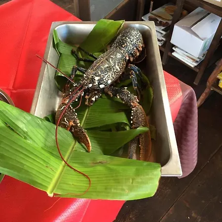 Vendégház Oikos Selinunte Marinella di Selinunte