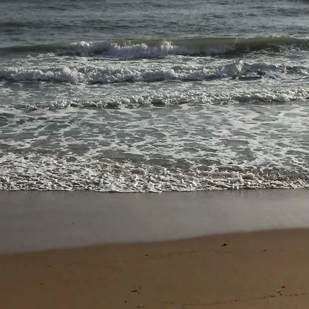 בית הארחה Oikos Selinunte